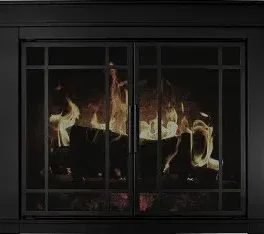 Fireplace door design 11